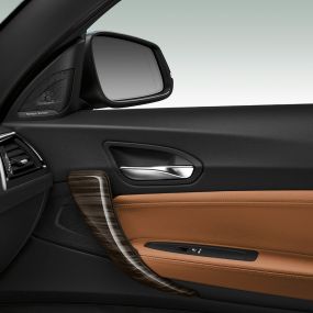 BMW Série 2 Cabrio, painel lateral da porta BMW Série 2 Cabrio, painel lateral da porta