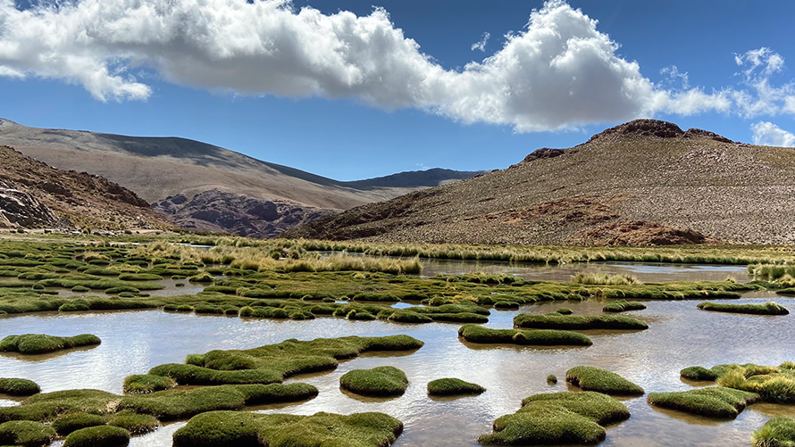 Gestão da cadeia de fornecimento, sustentabilidade BMW Sustentabilidade BMW, gestão da cadeia de fornecimento, lago com montanhas no fundo